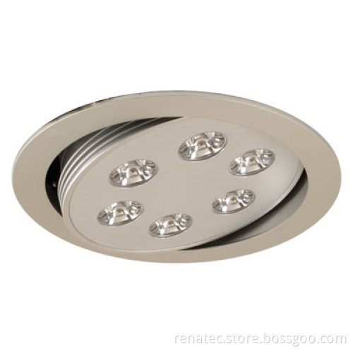 LED Ceiling Light (QL-110)